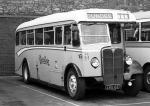 AEC Regal I Alexander 1947 года (UK)